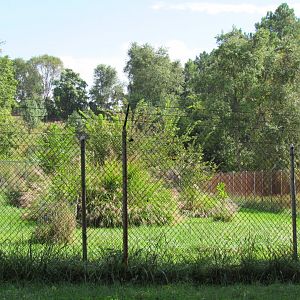 Smithsonian Conservation Biology Institute- Autumn Festival