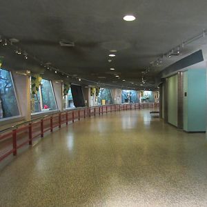 Rare Animal Conservation Center