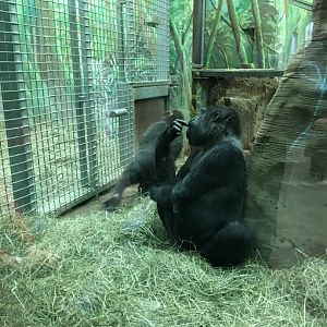 Toni with grandson JJ