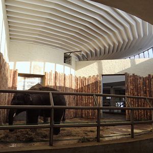 Inside Elephant House