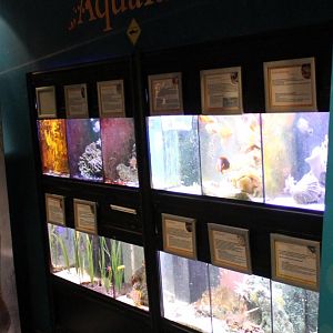 Small Aquariums