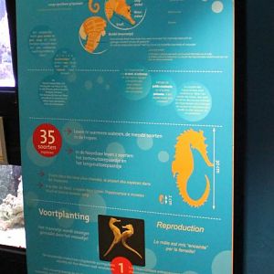 Info-sign Sea-horses