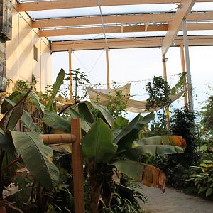 View in the Tropical Hall