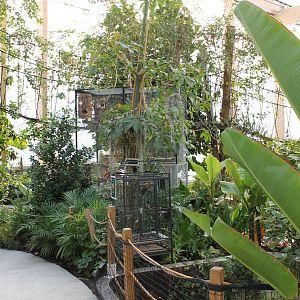 Sun Conure-enclosures