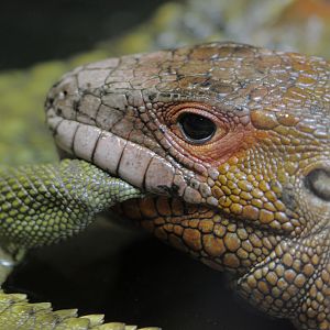 Mistaken identity can be painful