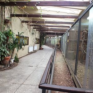 View in the Small Mammal House