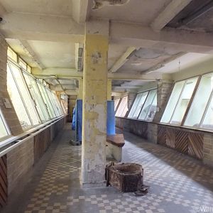 Primates House Indoors