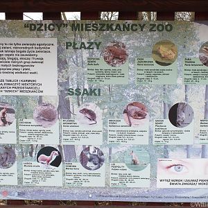 Native Wildlife Sign