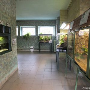 View of Terrarium Indoors