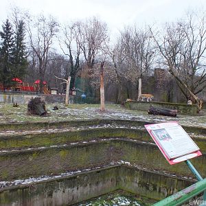 Siberian Tiger Enclosure