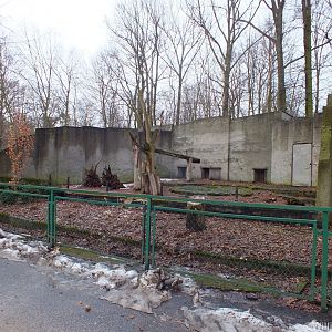 Sun Bear Enclosure (?)