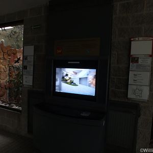 Display and Video about the Orientarium