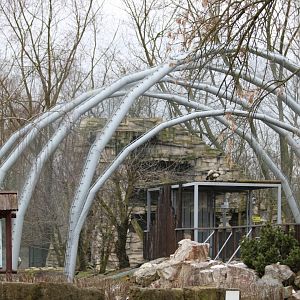 Griffon Vulture Aviary