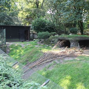 Mixed Australian enclosure