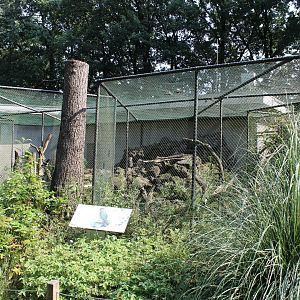 Kea-outdoor aviary