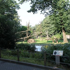 Chimp Outdoor-enclosure
