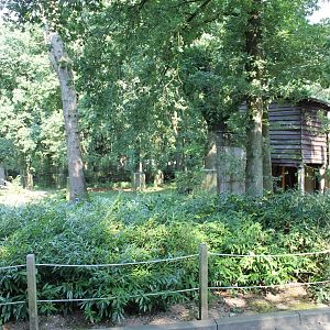 Observation-shed Chimps