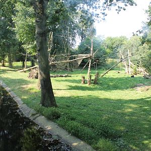 Chimp-outdoor enclosure