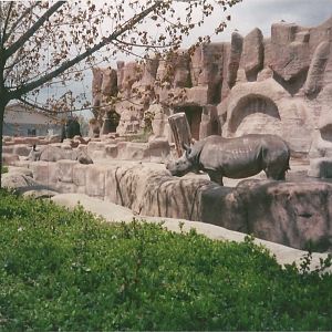 Hogle Zoo 1999 - Animal Giants - White Rhinoceros and Asian Elephant