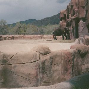 Hogle Zoo 1999 - Animal Giants - Asian Elephant