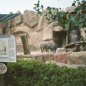 Hogle Zoo 1999 - Animal GIants - White Rhinos