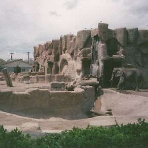 Hogle Zoo 1999 - Animal Giants