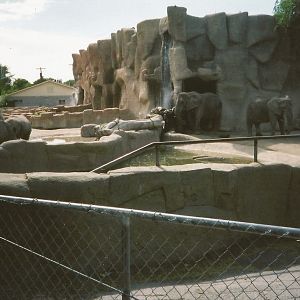 Hogle Zoo 1999 - Animal Giants - Future Denizens of Elephant Encounter