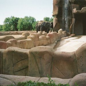 Hogle Zoo 1999 - Animal Giants - Asian Elephants
