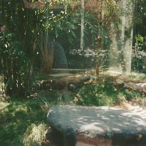 Hogle Zoo 1999 - Tropical Garden - Komodo Dragon