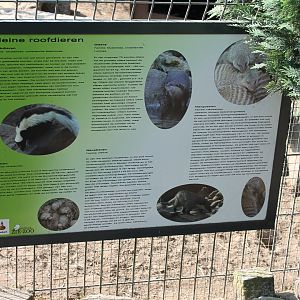 Small Carnivore info