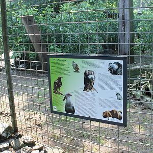Bird of Prey info-sign