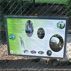 Info-sign Cranes