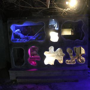 Enclosures Nocturnal creatures