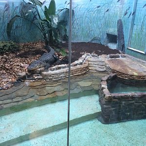 Reptile House