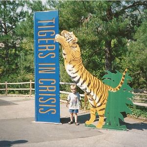 Hogle Zoo 1999 - Feline Building - Tigers in Crisis Sign