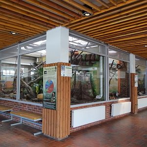 Marmosets exhibits inside Antelope House