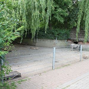 Swine-enclosure