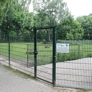 Fallow deer enclosure