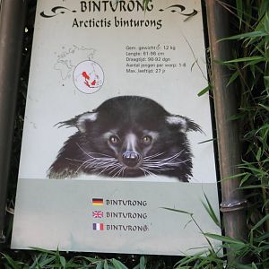 Sign Binturong