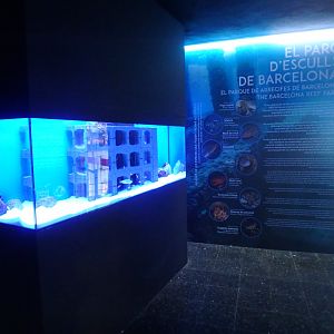 New coastal fish enclosure