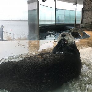 Den Blå Planet - 20/2/17