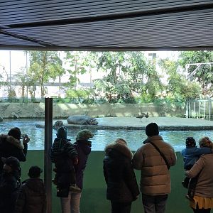 Indoor nile hippo enclosure