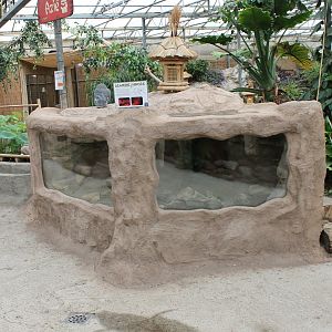 Leopard gecko enclosure under construction