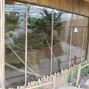 Enclosure Python molurus