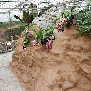 View in one of the halls