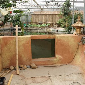 Construction-work Fish-tank