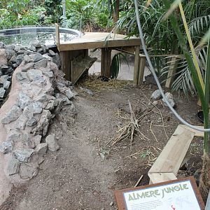 Guinea-pig enclosure
