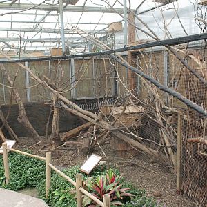 Enclosure Hudson squirrel