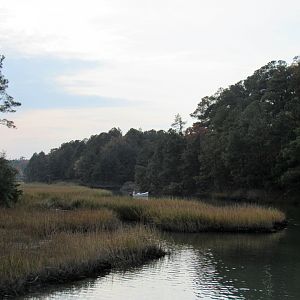 View from nature walk