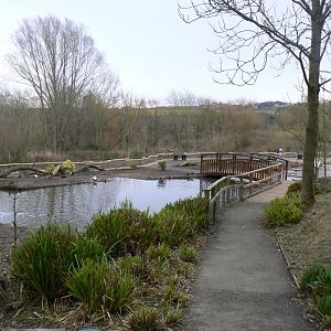 View of Close Encounters - 21 February 2017